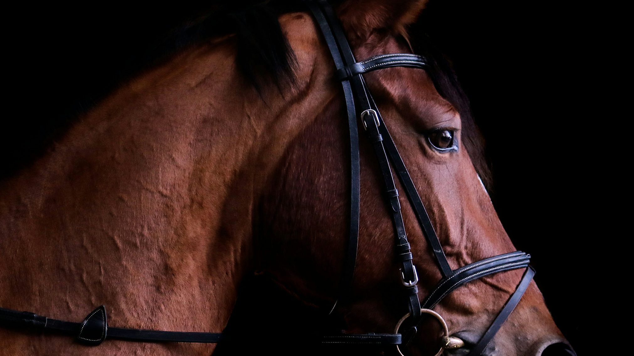 Object horsepower